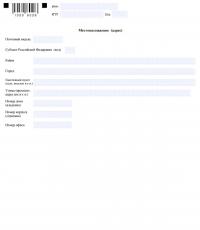 Упрощенная бухгалтерская отчетность — формы отчетности, образец заполнения Бланк формы по кнд 0710099 заг